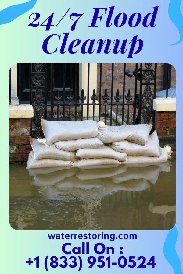 24/7 Flood Cleanup in Taylor Springs, IL