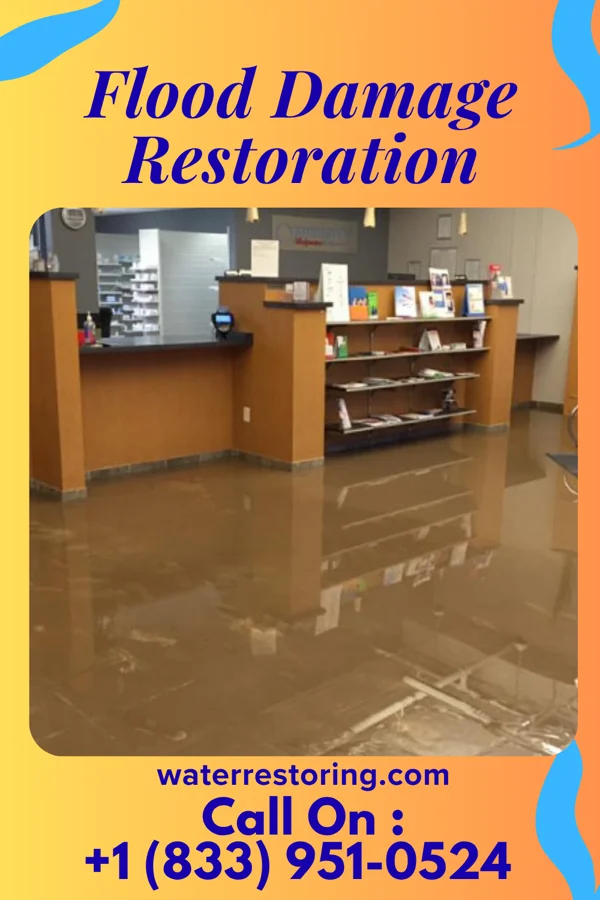 Flood Damage Restoration in Taylor Springs, IL