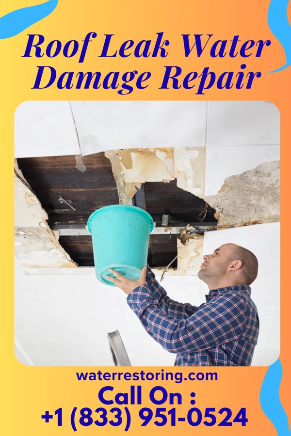 Roof Leak Water Damage Repair in Taylor Springs, IL