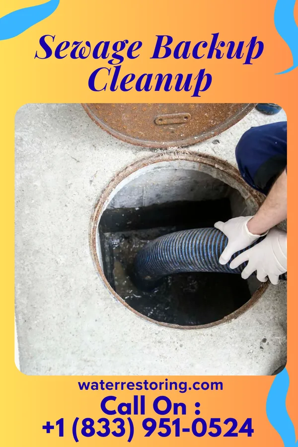 Sewage Backup Cleanup in Taylor Springs, IL