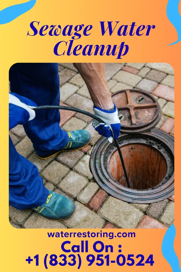 Sewage Water Cleanup in Taylor Springs, IL