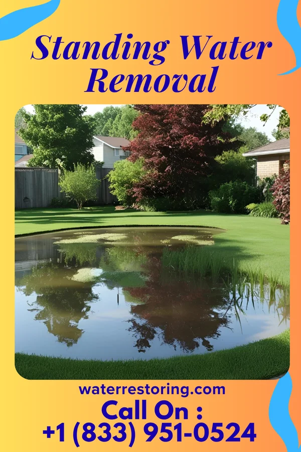 Standing Water Removal in Taylor Springs, IL